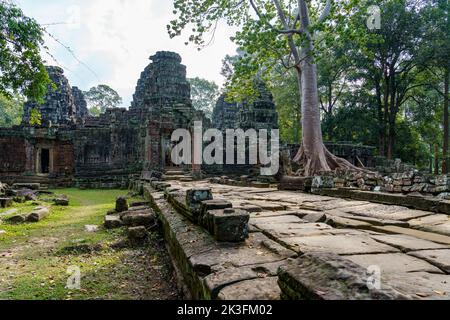 Kambodscha. Provinz Siem Reap. Der archäologische Park von Angkor. Die alten Ruinen des Banteay Kdei-Tempels mit einem banyan-Baum Stockfoto