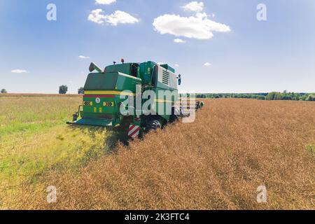 07.28.2022- Warschau, Polen - Rapsernte. Außenaufnahme. Landwirtschaftlich genutzte Länder. Moderner Mähdrescher während der Arbeit. Rückansicht. Blauer Himmel. Hochwertige Fotos Stockfoto