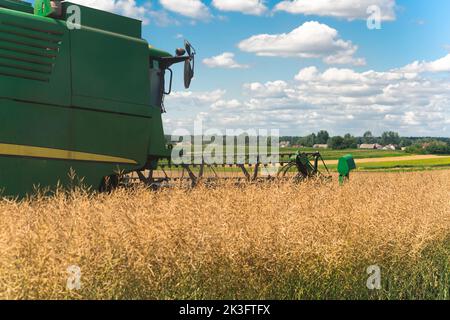 07.28.2022 - Warschau, Polen - Rückansicht des grünen modernen Mähdreschers während der Rapssaison auf dem Feld. Außenaufnahme. Landwirtschaftliche Nutzflächen. Hochwertige Fotos Stockfoto