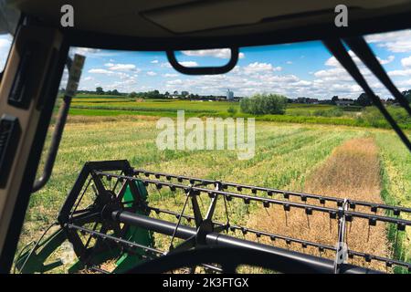 Aus der Sicht des Landwirts aus der Fahrerschutzkappe im Mähdrescher. Rolle und Vorderteil der landwirtschaftlichen Maschine durch Windschutzscheibe gesehen. Sommerliche Ernte. . Hochwertige Fotos Stockfoto