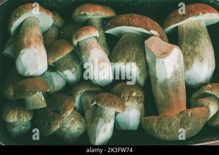Frische Steinpilze auf einem Tablett in der Küche. Stockfoto