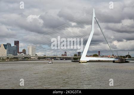Rotterdam aus dem Wasser Stockfoto