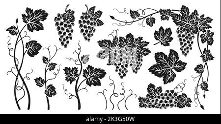 Weintrauben Weinstock und Blätter graviert Set. Skizze Tinte Hand gezeichnet vintage Umriss Weintrauben. Beerenmuster im Antikdesign. Skizzen für Weinverpackung, Etikett, Muster, Menü, Einladungskarte, Poster, Cover Stock Vektor