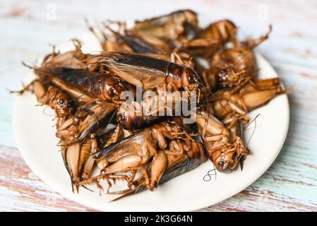Cricket-Insekt auf weißem Teller Hintergrund, Cricket-Insekt im Zusammenhang mit den Heuschrecken für Lebensmittel in asiatischen Stockfoto