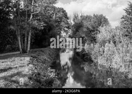 Ein reparierter, zurückgewonnener Abschnitt der Wilts. Und Berks. Kanal in der Nähe von Pewsham in Chippenham, Wiltshire. Repariert durch den Wilts and Berks Canal Trust. Stockfoto