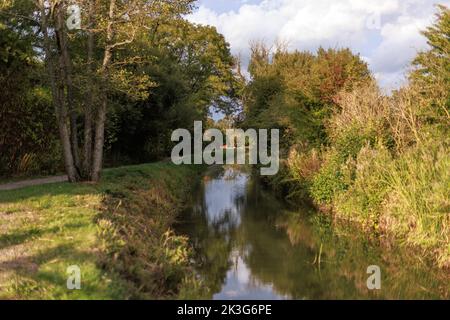 Ein reparierter, zurückgewonnener Abschnitt der Wilts. Und Berks. Kanal in der Nähe von Pewsham in Chippenham, Wiltshire. Repariert durch den Wilts and Berks Canal Trust. Stockfoto