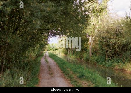 Ein reparierter, zurückgewonnener Abschnitt der Wilts. Und Berks. Kanal in der Nähe von Pewsham in Chippenham, Wiltshire. Repariert durch den Wilts and Berks Canal Trust. Stockfoto