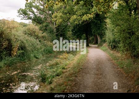 Ein reparierter, zurückgewonnener Abschnitt der Wilts. Und Berks. Kanal in der Nähe von Pewsham in Chippenham, Wiltshire. Repariert durch den Wilts and Berks Canal Trust. Stockfoto