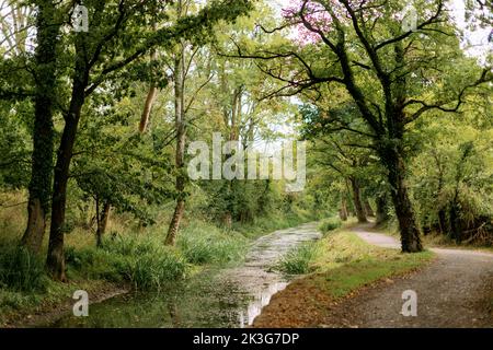 Abschnitt des wiedergewonnenen / reparierten alten Kanals zwischen Pewsham und Lacock, Wiltshire. Von Wilts aus dem nicht mehr verwendeten Zustand wiederhergestellt. Und Berks. Canal Trust Stockfoto