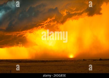Ein massives Gewitter, das während der Sommerzeit bei Sonnenuntergang über einem breiten, leeren Feld im Mittleren Westen regnet. Stockfoto