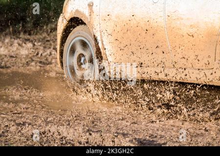 Schlammschutt von einem Rallye-Autorennen (Fokus bei debis) Stockfoto