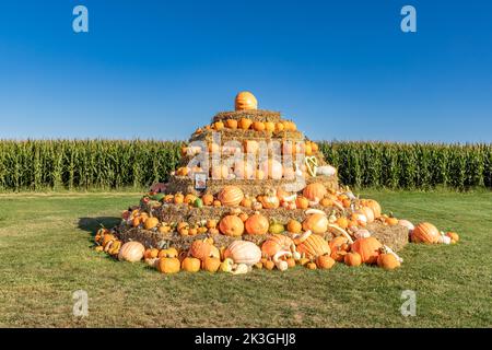 Sammlung von Kürbissen, Kürbissen und Squash in Pyramidenform Stockfoto