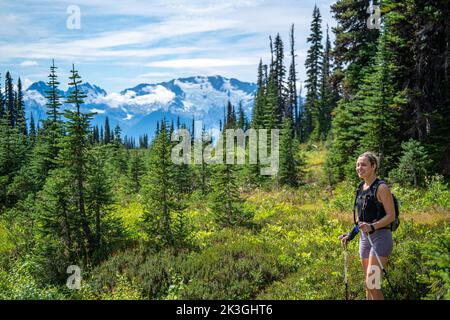 Eine Wandererin steht auf den Panorama Ridge Trails und blickt zurück auf die gletscherbedeckten Berge. Stockfoto