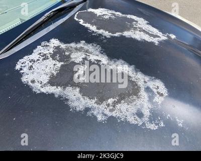 Alte Motorhaube Motorhaube grau mit Farbe verblasst grunge durch Sonne und Zeit beschädigt Stockfoto