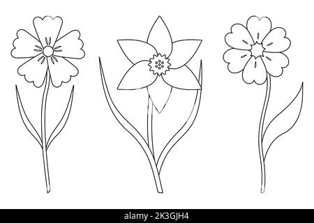 Blumen. Skizze. Satz von Vektorgrafiken. Kornblume, Narzissen. Zarte Pflanzen mit Blättern. Blühende Pflanzen. Bild für Kinder. Stock Vektor