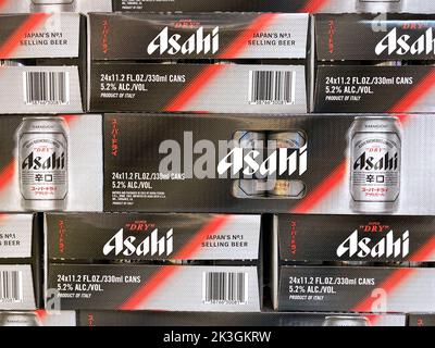 Asahi Super Dry 24 Pack Bierdosen Display im Lebensmittelgeschäft - San Jose, California, USA - 2022 Stockfoto