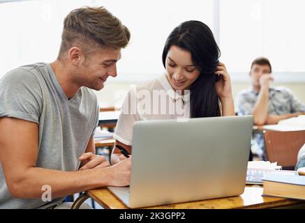 Studienpartner. Ein junger Student, der in einem Klassenzimmer studiert. Stockfoto