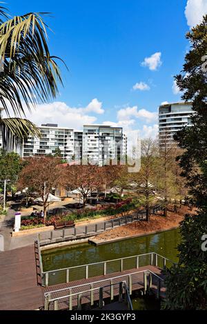 Brisbane Australien / die wunderschönen Roma Street Gardens und City Apartments in Spring Hill, Brisbane Queensland. Stockfoto