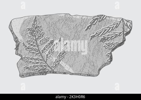 Stein mit Abdrücken von Skeletten prähistorischer Tiere, Insekten und Pflanzen. Graue Archäologie, Bruchstücke von Rissfelsen, Trümmerbrocken. Satz von Stock Vektor