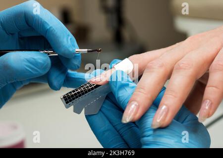 Konstruktion von Schönheitsnägeln. Untere Nagelverlängerung. Master Manikurist im Schönheitssalon erhöht Nägel durch Verlängerung Client Nagelplatte mit Acryl oder g Stockfoto