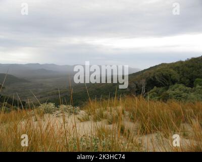 Der North West Circuit. Stewart Island Rakiura. Southland. Neuseeland Stockfoto