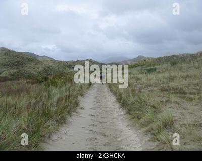 Der North West Circuit. Stewart Island Rakiura. Southland. Neuseeland Stockfoto