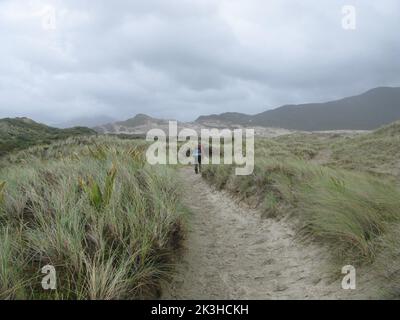 Der North West Circuit. Stewart Island Rakiura. Southland. Neuseeland Stockfoto