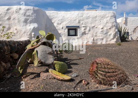Typisches weißes Haus auf der Insel La Graciosa, mit Wüstenvegetation, Lanzarote, Kanarische Inseln, Spanien. Stockfoto
