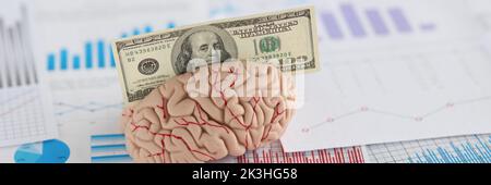 Banknoten passen in anatomisches Modell des menschlichen Gehirns, Miniatur auf Geschäftsunterlagen Stockfoto