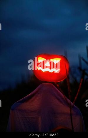 Leuchtende Kürbis-Vogelscheuche für halloween auf einem weiten Kornfeld ziehen in der Nacht. Stockfoto