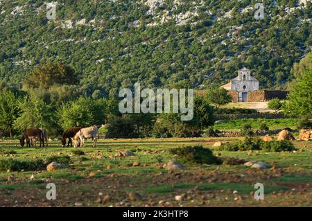 Kirche San Pietro, Golgo, Baunei, Ogliastra, Sardinien, Italien Stockfoto