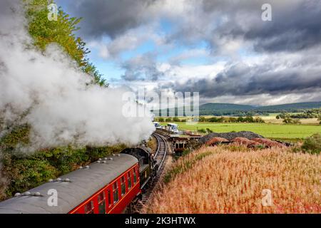 STRATHSPEY DAMPFEISENBAHN AVIEMORE SCOTLAND DER ZUG NÄHERT SICH DER BROOMHILL STATION UND LILA ROSEBAY WEIDENKRÄUTER BLUMEN Stockfoto