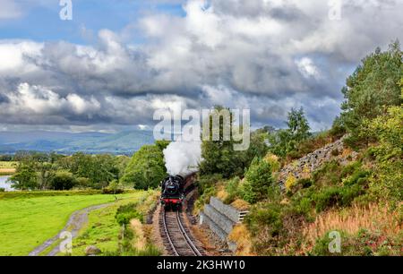 STRATHSPEY DAMPFEISENBAHN AVIEMORE SCOTLAND ZUG NÄHERT SICH BROOMHILL FLUSS SPEY UND CAIRNGORMS IM HINTERGRUND Stockfoto