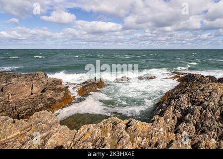 Klippen in Bull Bay an der Küste von Anglesey, Nordwales Stockfoto