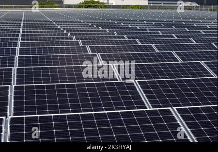 Solar-PV-Paneele auf einem Industriedach in den Niederlanden Stockfoto