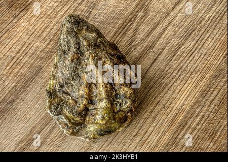 Pazifische Auster auf einem Holzschneidebrett, Dänemark, 16. September 2022 Stockfoto