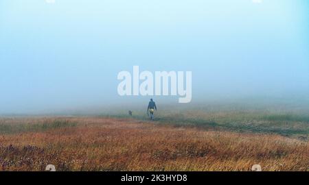 Mann, der den Hund im Herbst in nebligen Morgenstunden durch das Grastal läuft Stockfoto