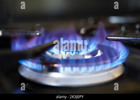 Das Kochen mit Gas ist jetzt schwierig, da die Lebenshaltungskosten katastrophal ansteigen. Nationale Energiekrise. Blaue Flamme auf einem Gasherd. Stockfoto