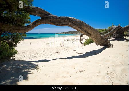 Su Giudeu, Spartivento, Chia, Domus de Maria, Provincia di Cagliari, Sardinien, Italien, Europa Stockfoto