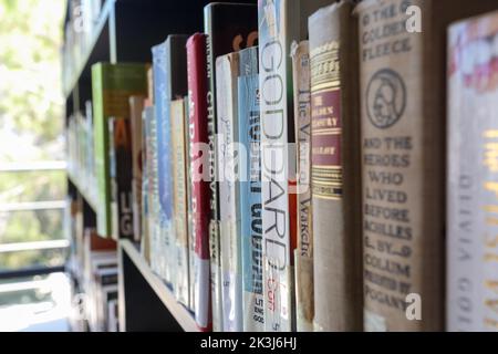 Haifa, Israel - 27. März 2022: Bücher sind in den Regalen der Zentralbibliothek der Technion University angeordnet. Stockfoto