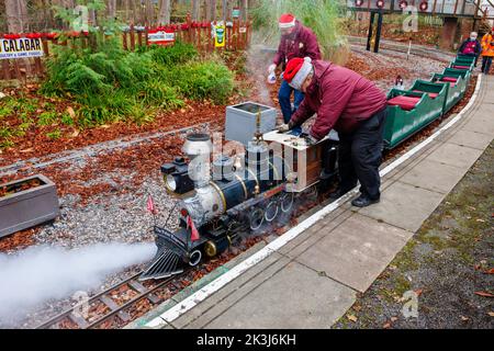 Mizens Railway, eine Miniatureisenbahn mit einer Spurweite von 7¼ Zoll in Barrs Lane, Knaphill, Woking während der jährlichen Weihnachtsveranstaltung: Dampflokomotive „Thunder Hoof“ Stockfoto