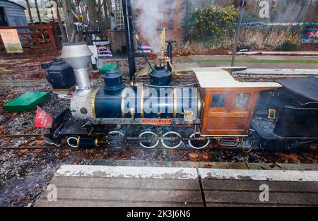 Mizens Railway, eine Miniatureisenbahn mit einer Spurweite von 7¼ Zoll in Barrs Lane, Knaphill, Woking während der jährlichen Weihnachtsveranstaltung: Dampflokomotive „Thunder Hoof“ Stockfoto