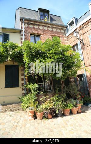 Stadthaus mit Glyzinien am Rande der Altstadt, Rue Commandant J Lephay, St Valery sur somme, somme, picardie, Hauts de France, frankreich Stockfoto