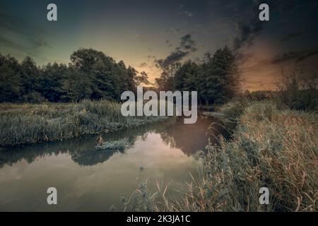 Sommerende beleuchtet von der untergehenden Sonne am Fluss Grabia, Polen. Stockfoto