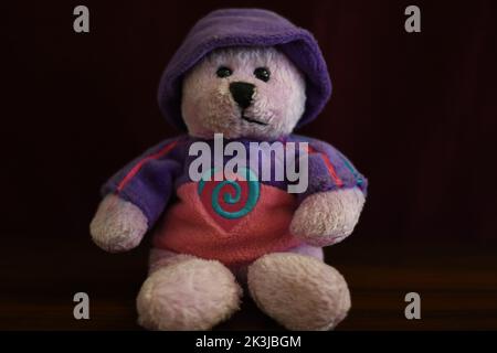 Ein süßer Teddybär in moderner Kleidung Stockfoto