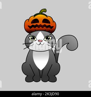Katze in einem Kürbishut. Graue Katze und Kürbis. Lächelnder Kürbis. Illustration für Halloween. Vektorgrafik. Stock Vektor