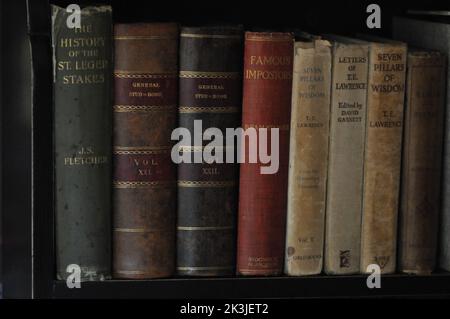 Ledergebundene Bücher. Alte Bücher. Alte Bücher im Regal. Antike Bücher. Stockfoto