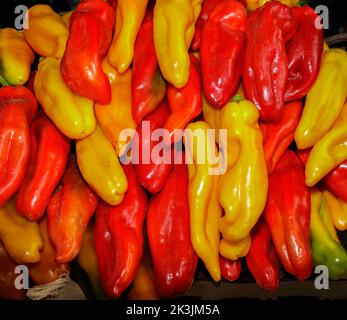 Turin, Italien - 23. September 2022: Rote und gelbe Paprika während der Messe 'Terra Madre - Salone del Gusto' (kostenlose Veranstaltung) ausgestellt. Stockfoto