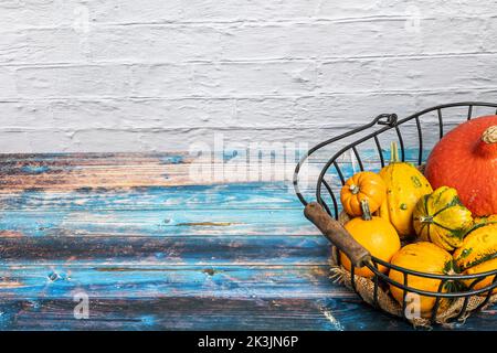 Stillleben mit verschiedenen Zierkürbissen in einem alten Drahtkorb Stockfoto