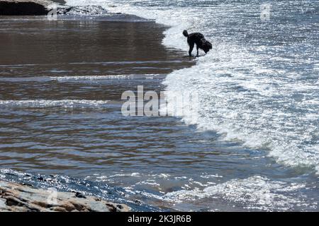 Schwarzer Hund, der in der Brandung am Strand spielt Stockfoto